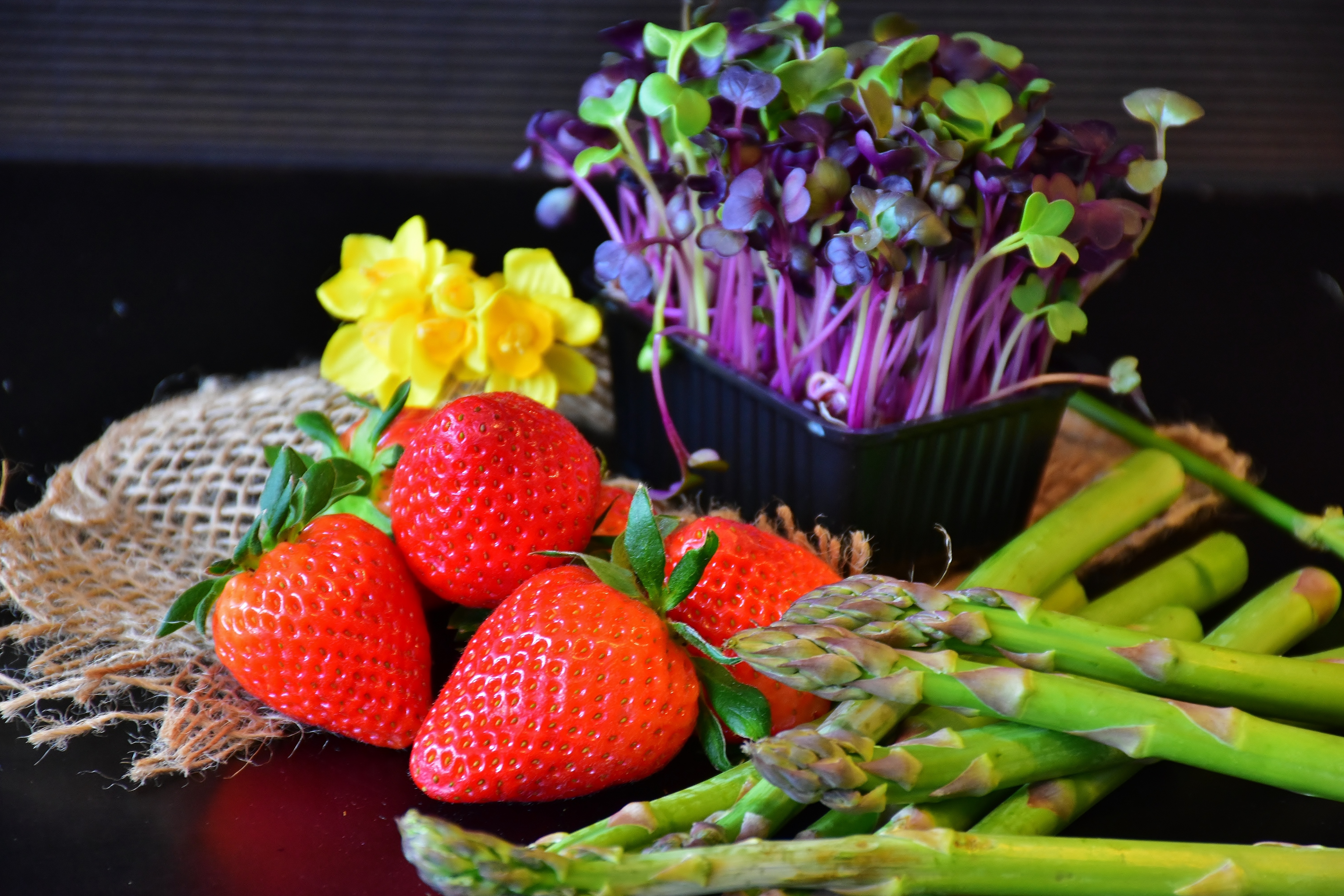 Detail Permainan Menanam Buah Dan Sayur Nomer 46