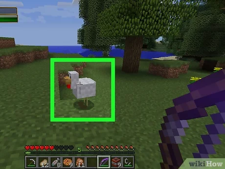 Detail Permainan Minecraft Ikan Nomer 38