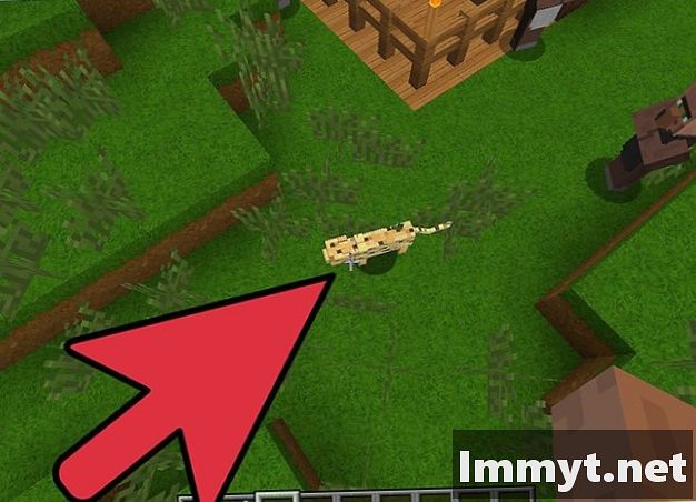 Detail Permainan Minecraft Ikan Nomer 55