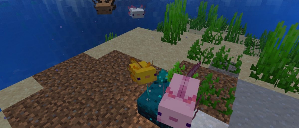 Detail Permainan Minecraft Ikan Nomer 8