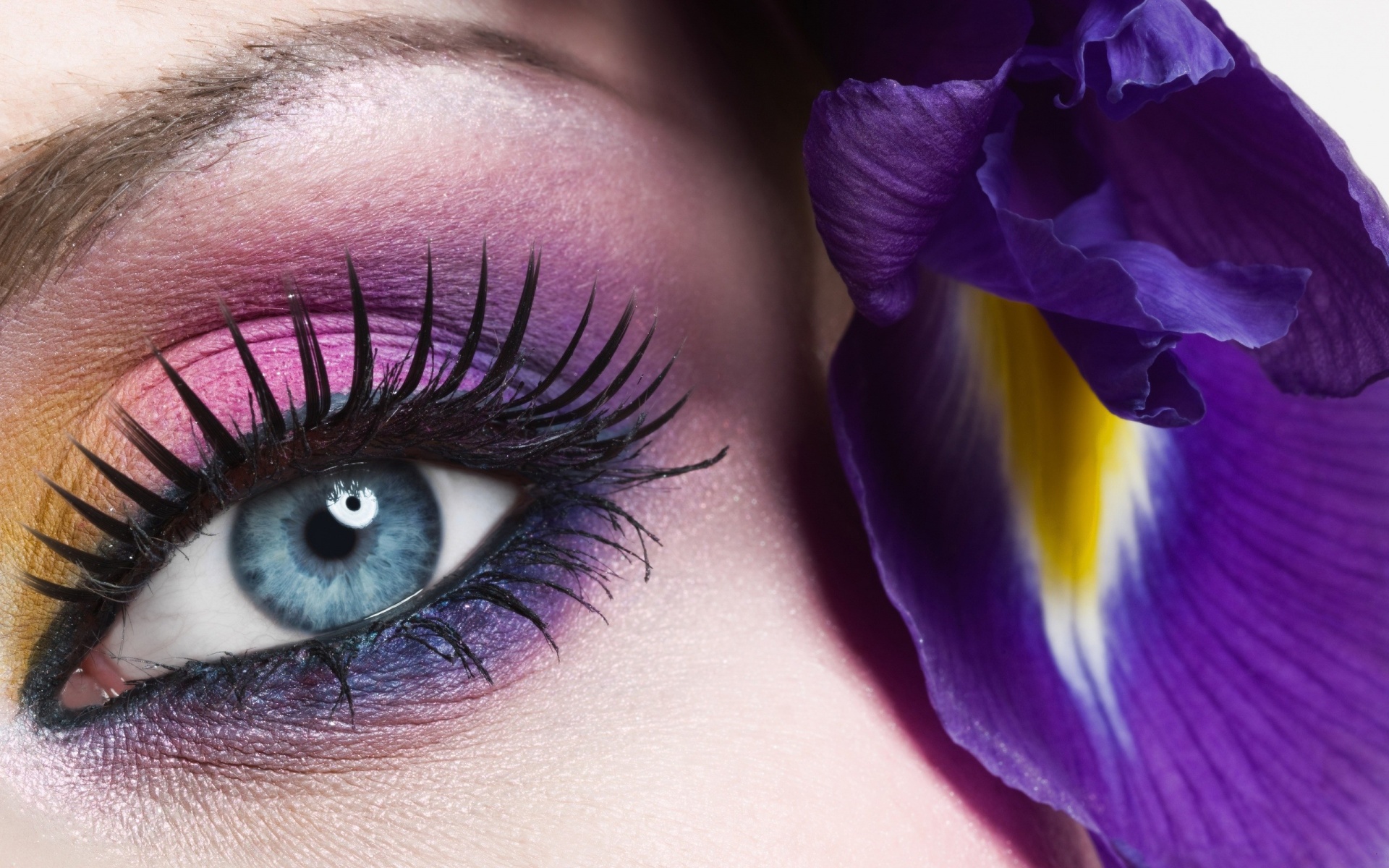 Detail Makeup Background Hd Nomer 38