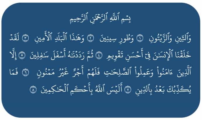 Detail Makna Surat At Tin Ayat 4 Nomer 20