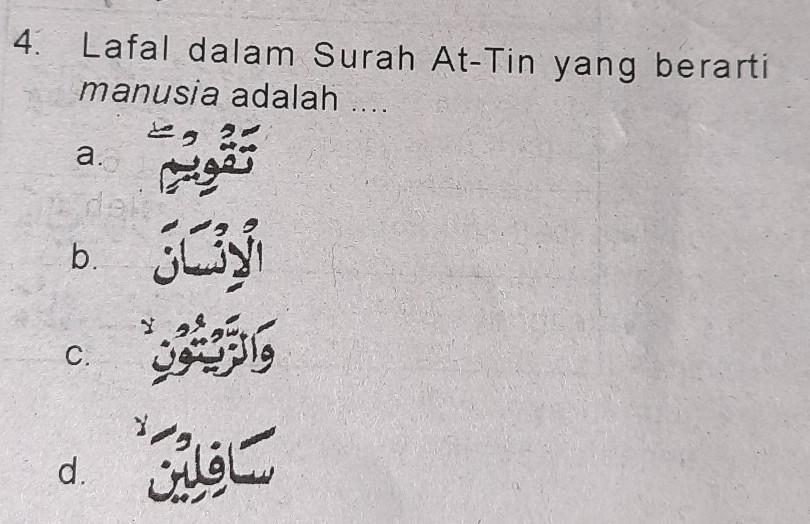 Detail Makna Surat At Tin Ayat 4 Nomer 34