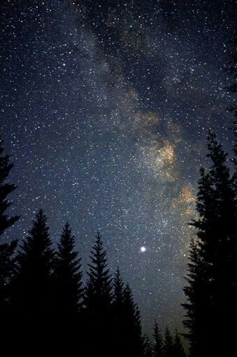 Detail Malam Background Nomer 3