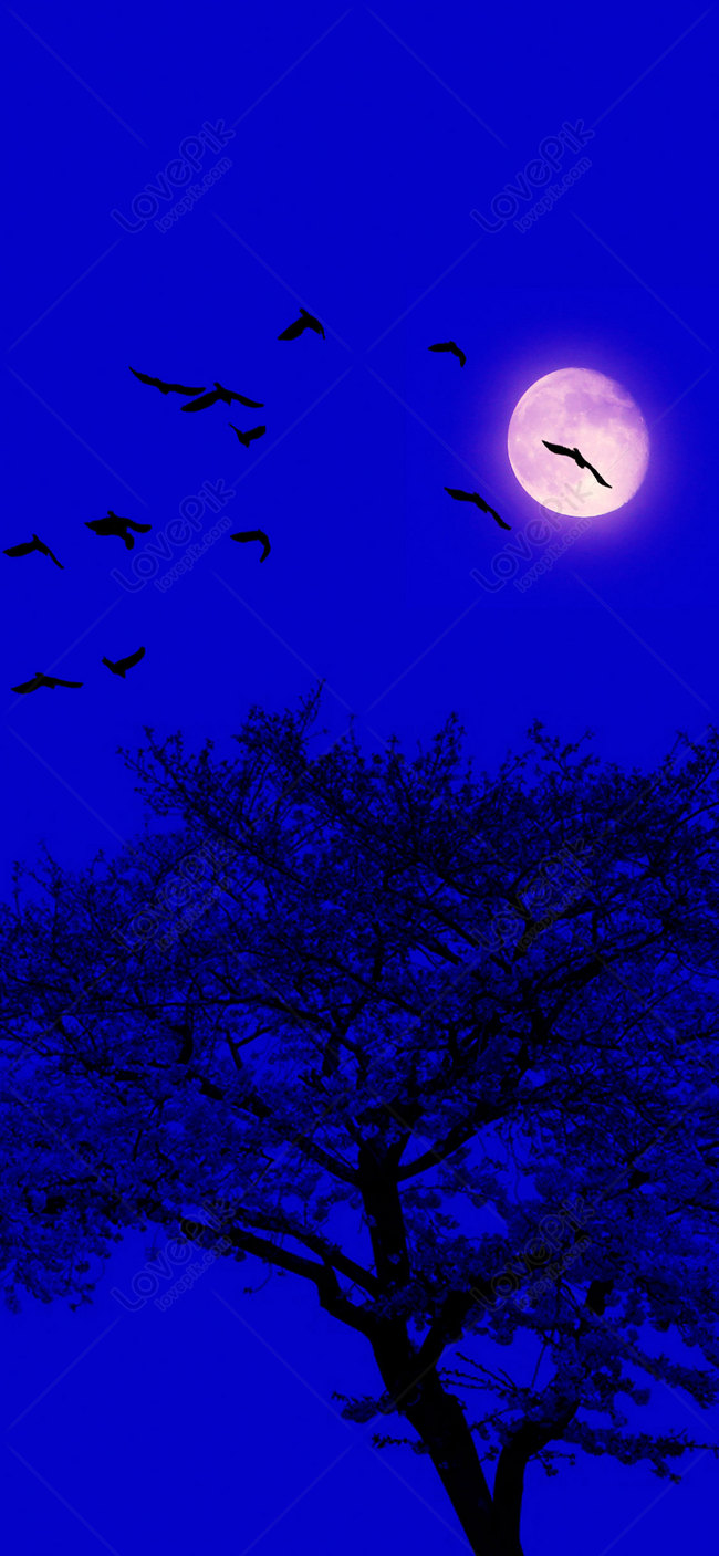 Detail Malam Background Nomer 30