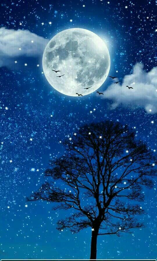 Detail Malam Background Nomer 9