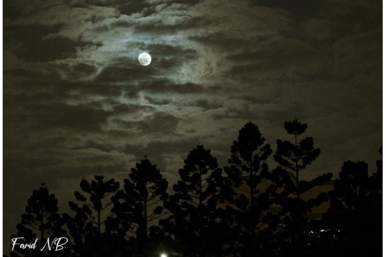 Detail Malam Bulan Purnama Nomer 15