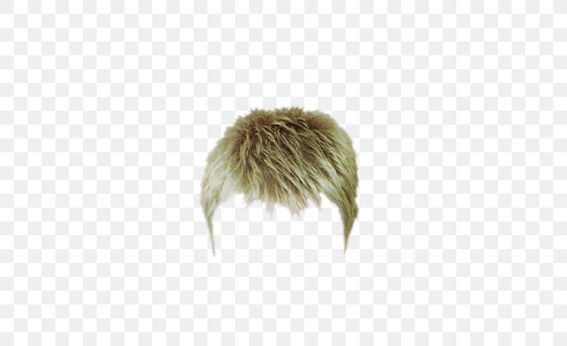 Detail Male Wig Png Nomer 18