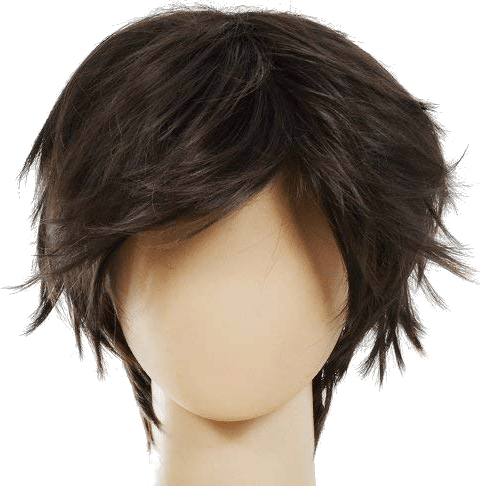 Detail Male Wig Png Nomer 24