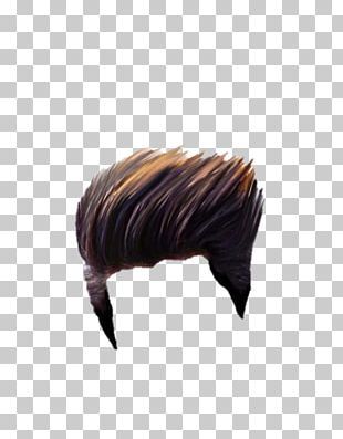 Detail Male Wig Png Nomer 40