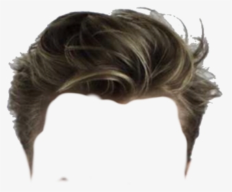 Detail Male Wig Png Nomer 5