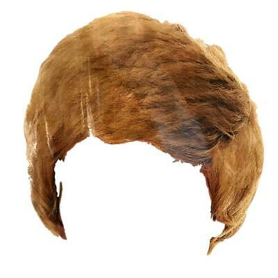 Detail Male Wig Png Nomer 50