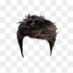 Detail Male Wig Png Nomer 7