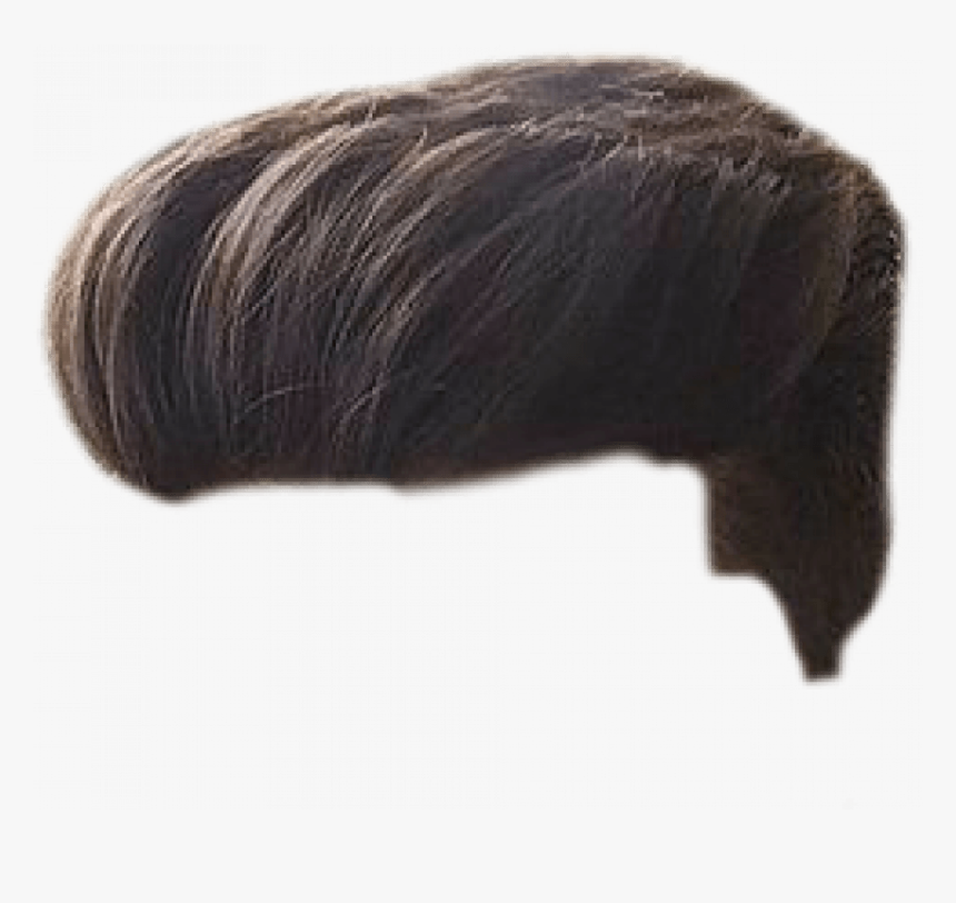 Detail Male Wig Png Nomer 8
