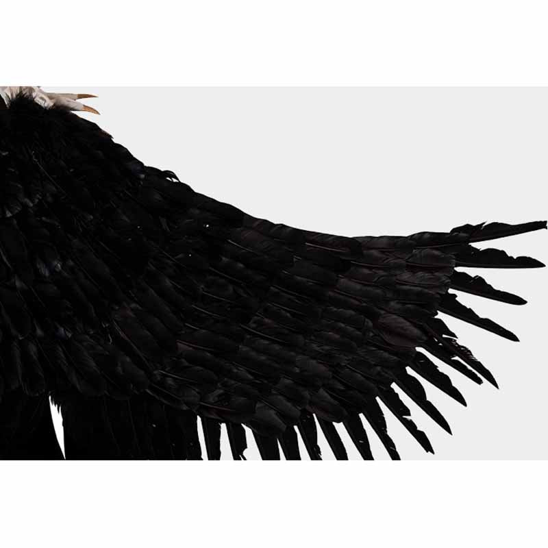 Detail Maleficent Wings Png Nomer 30