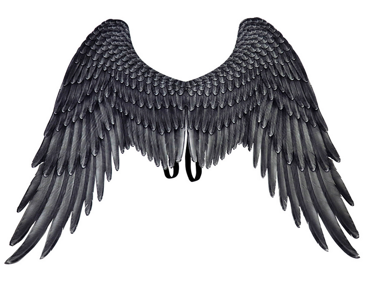 Detail Maleficent Wings Png Nomer 45