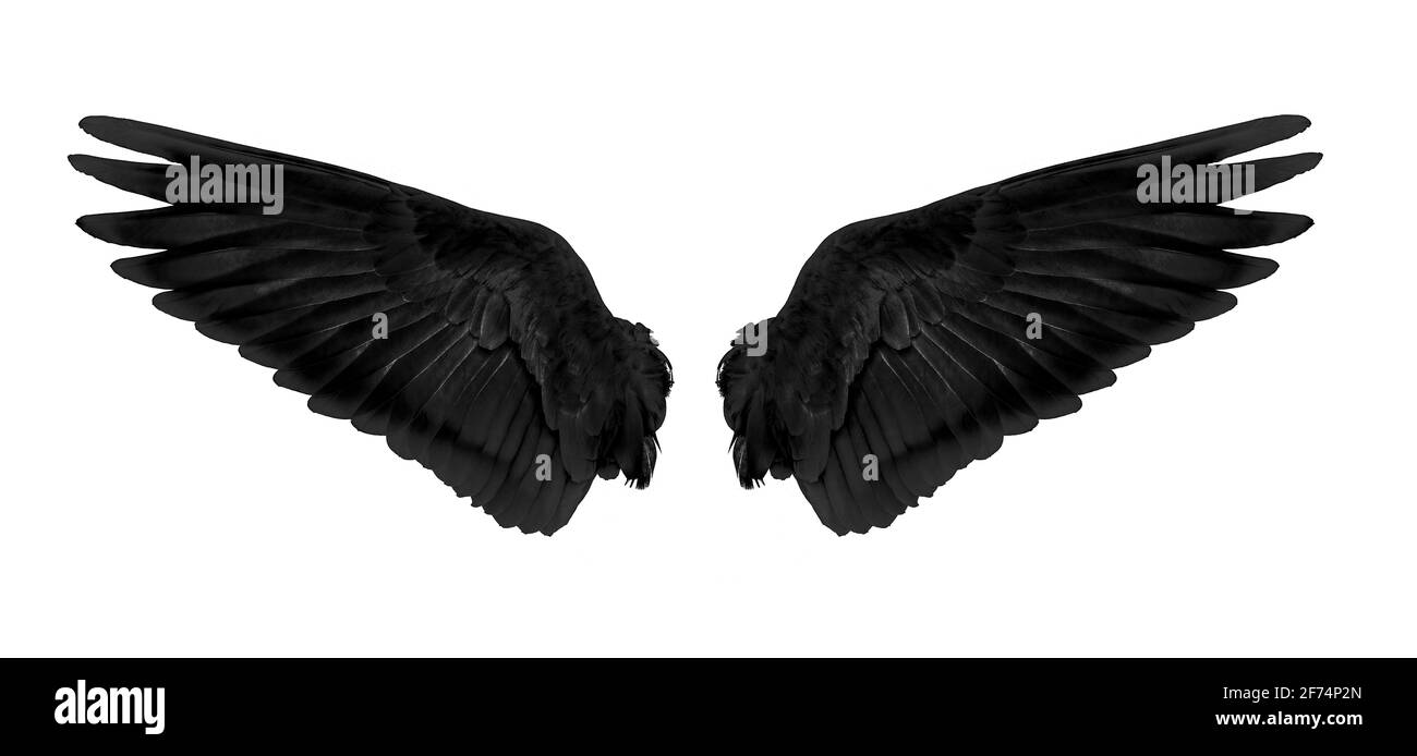 Detail Maleficent Wings Png Nomer 47