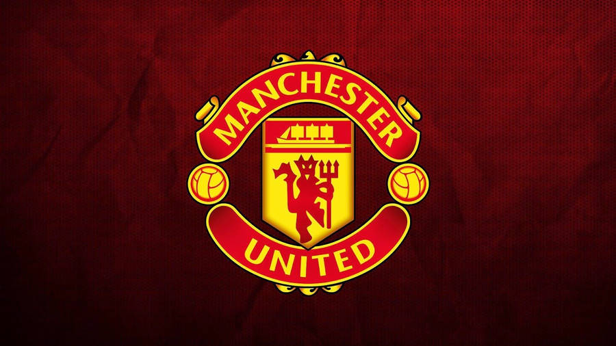 Detail Man U Badge Nomer 53