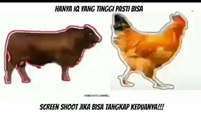 Permainan Tangkap Gambar - KibrisPDR