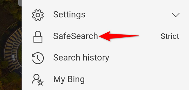 Detail Permanently Turn Off Safe Search Nomer 21