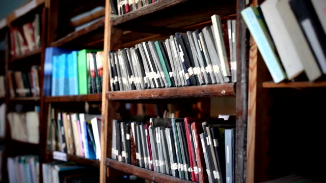 Detail Perpustakaan Gambar Animation Warna Putih Nomer 15