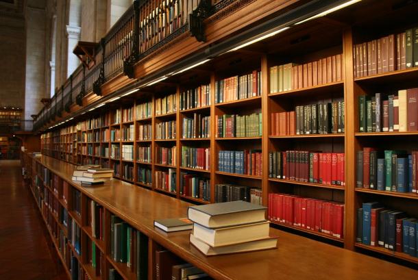 Detail Perpustakaan Gambar Animation Warna Putih Nomer 17