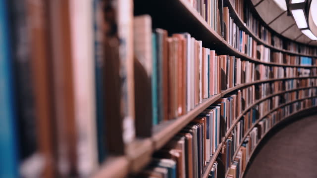 Detail Perpustakaan Gambar Animation Warna Putih Nomer 19