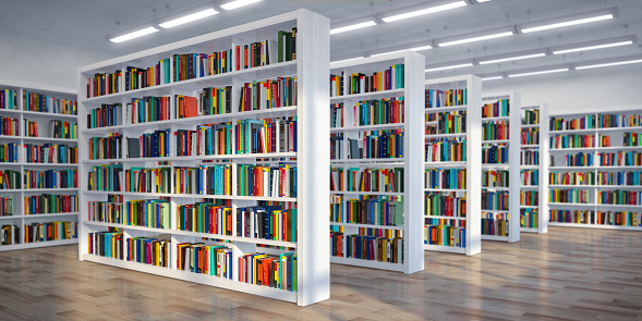 Detail Perpustakaan Gambar Animation Warna Putih Nomer 6