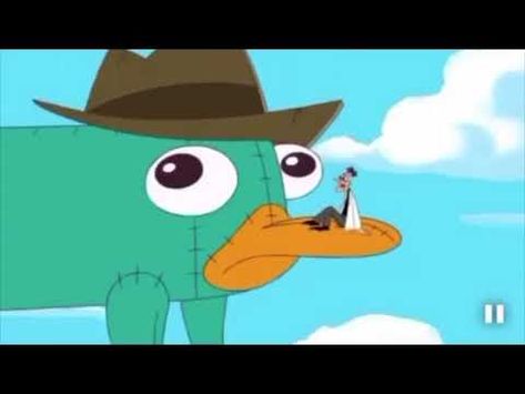 Detail Perry Si Platypus Nomer 12