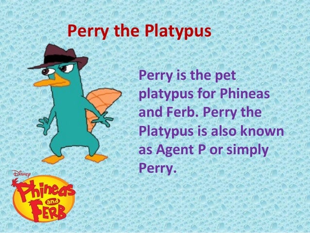 Detail Perry Si Platypus Nomer 54