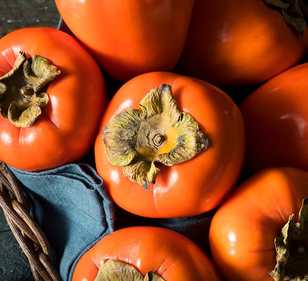 Detail Persimmon Fruit Images Nomer 34