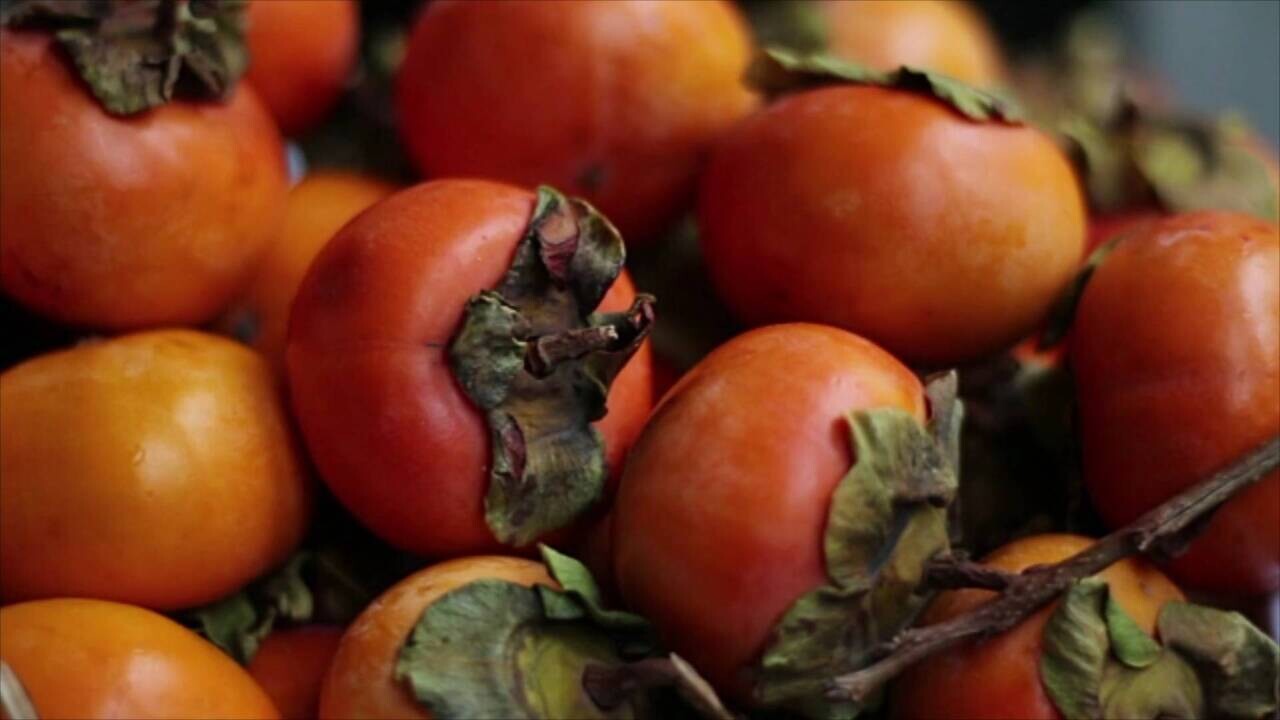 Detail Persimmon Fruit Images Nomer 44