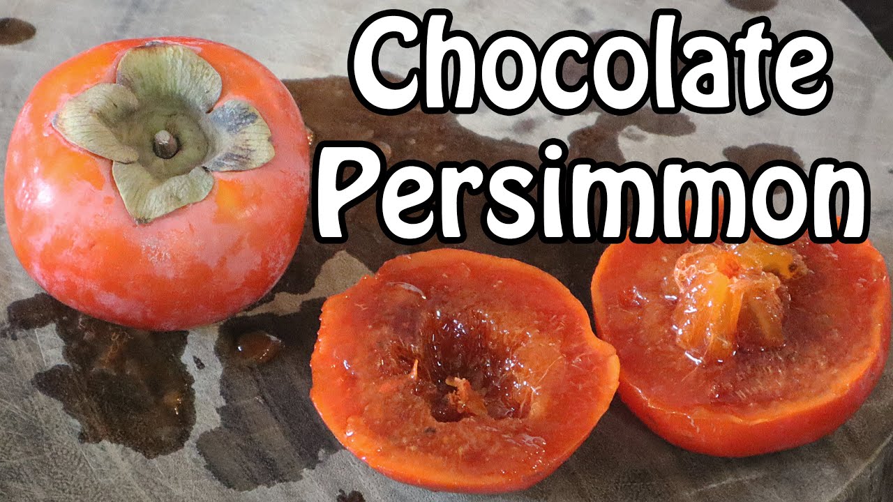 Detail Persimmon Fruit Images Nomer 52