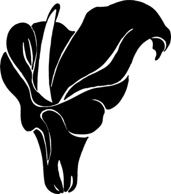 Detail Dark Orbit Wikia Nomer 16