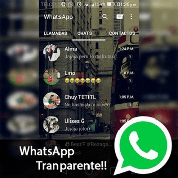 Detail Descargar Whatsapp Transparente Nomer 3