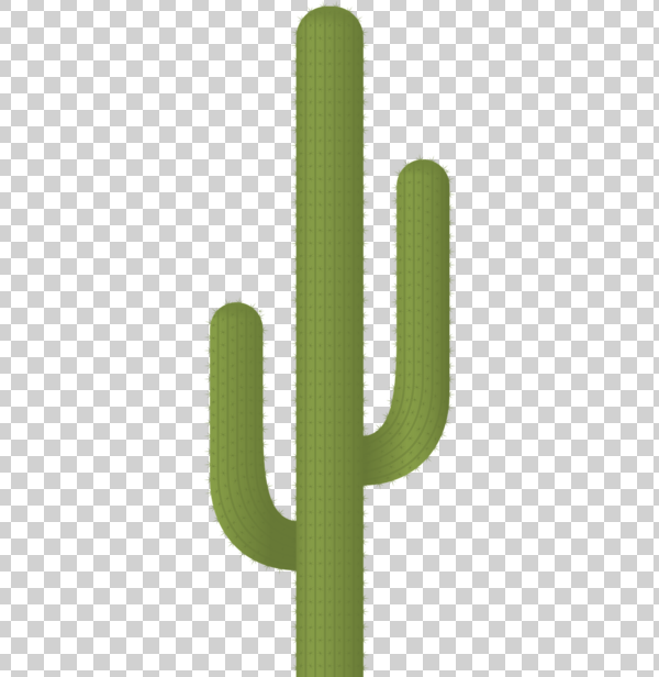 Detail Desert Cactus Png Nomer 13