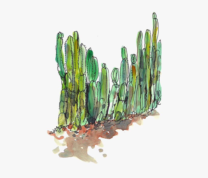 Detail Desert Cactus Png Nomer 32