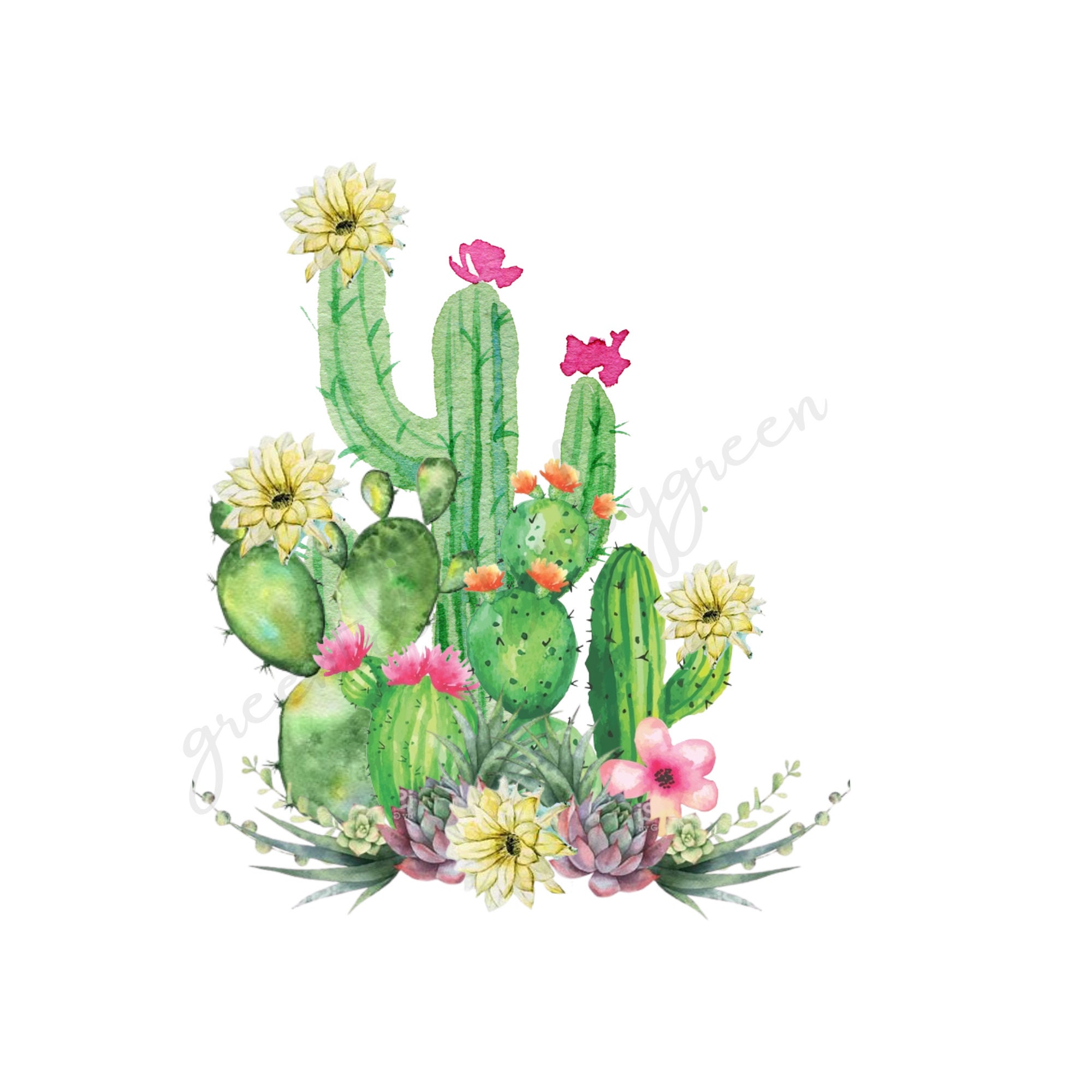 Detail Desert Cactus Png Nomer 34