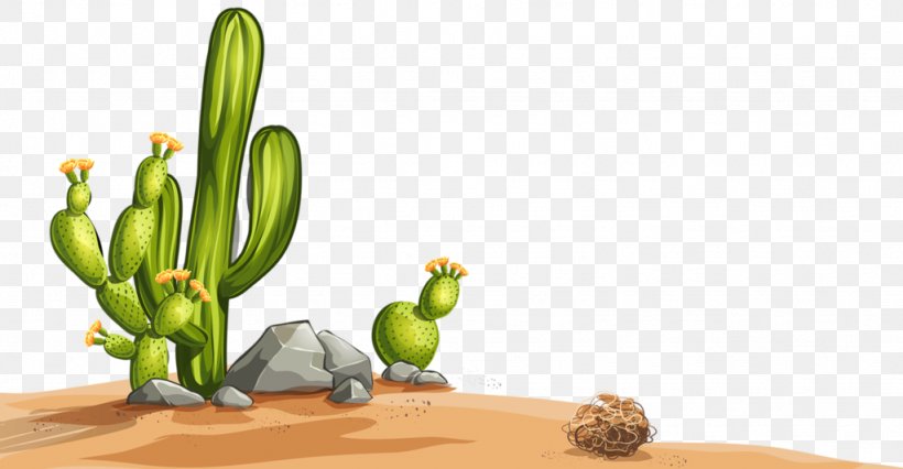 Detail Desert Cactus Png Nomer 42