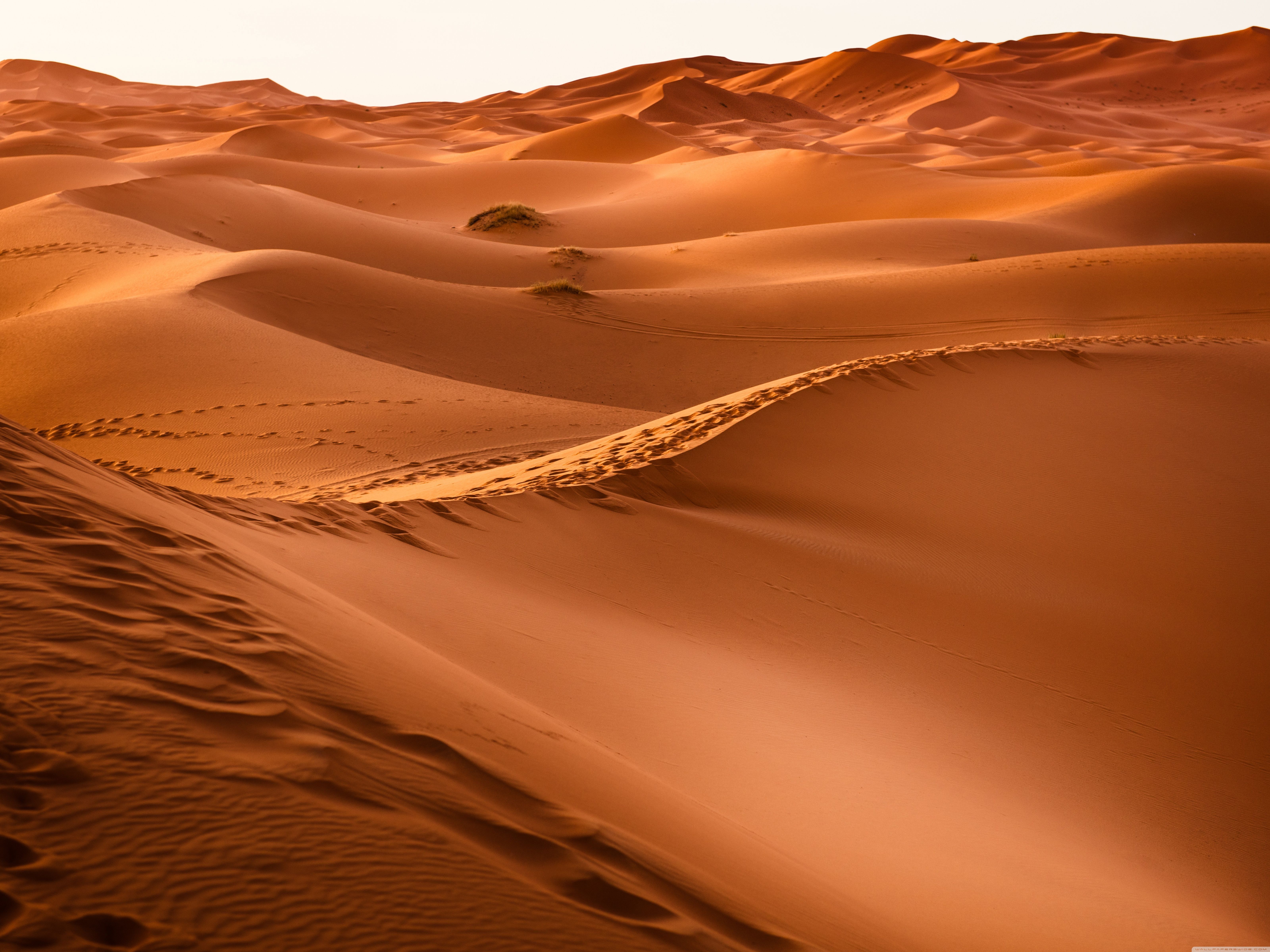 Detail Desert Wallpaper Hd Nomer 2