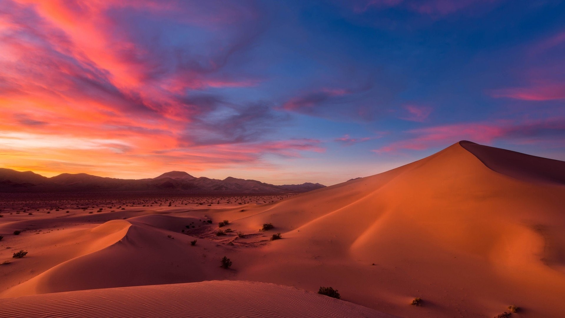 Detail Desert Wallpaper Hd Nomer 15