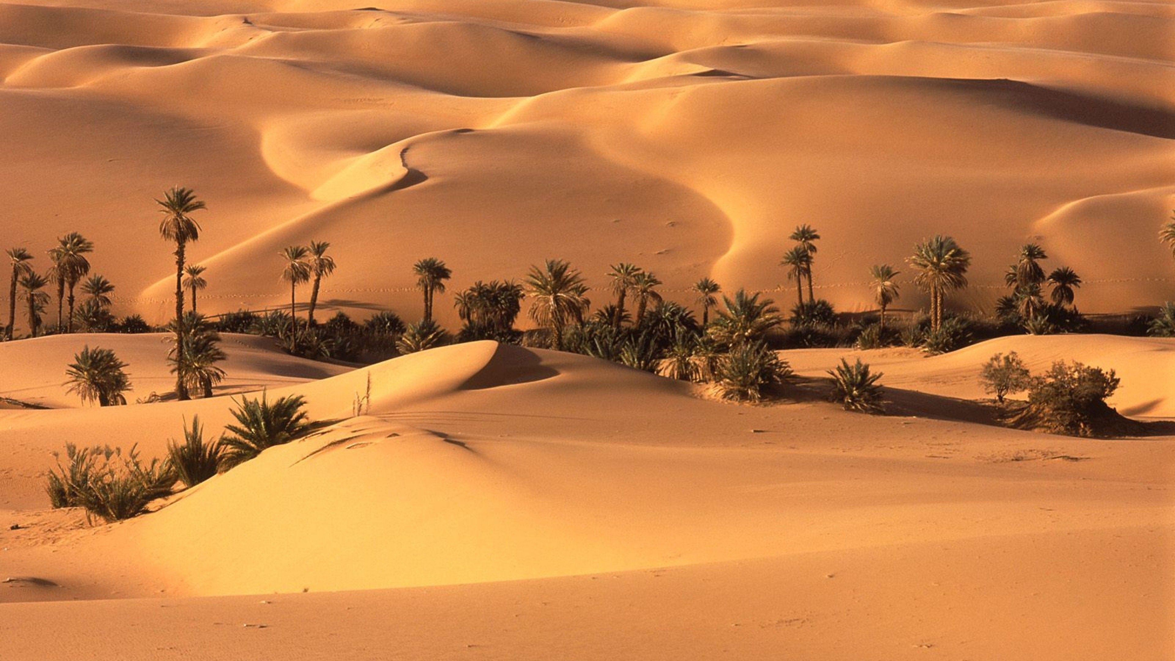 Detail Desert Wallpaper Hd Nomer 17