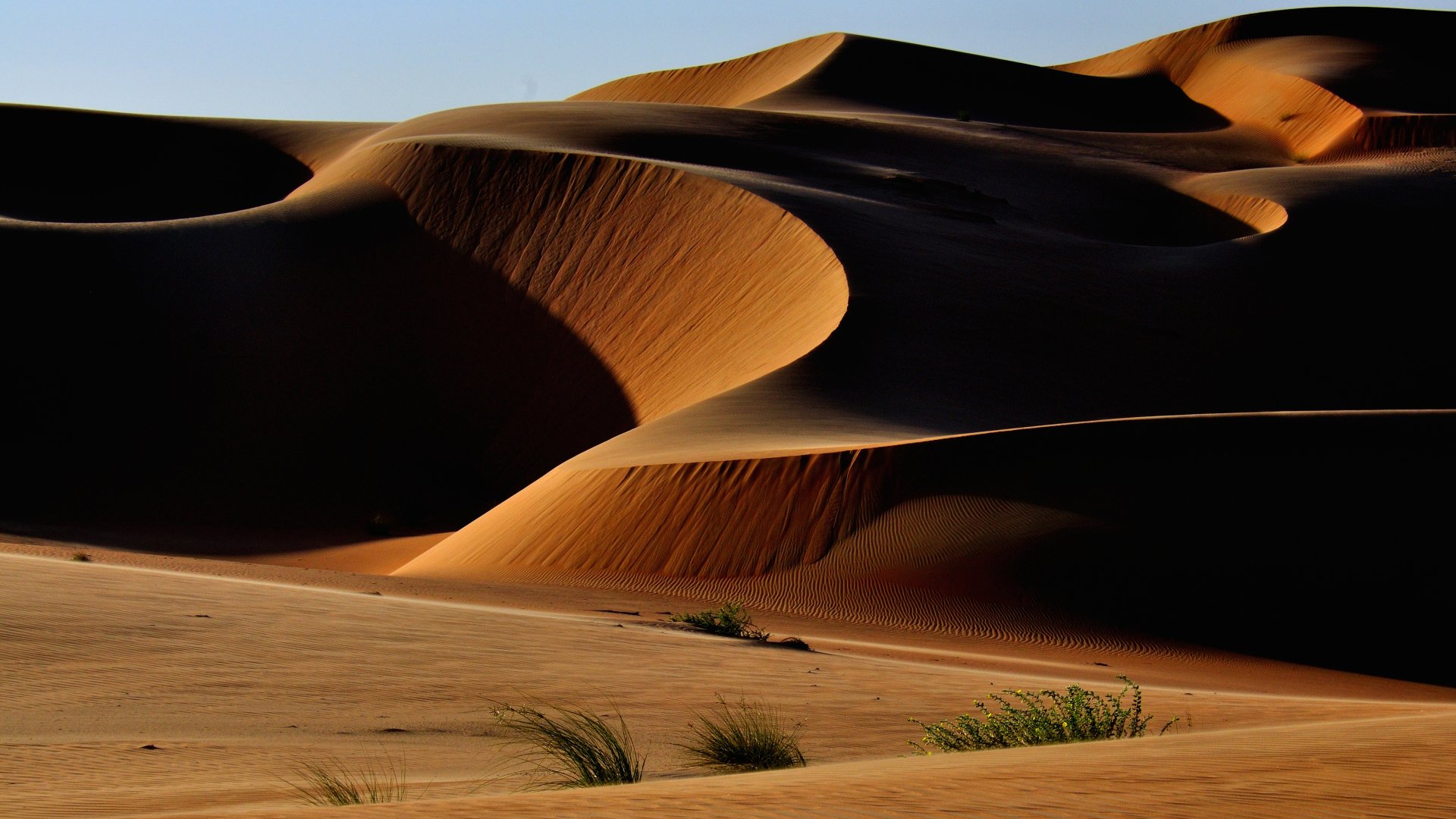 Detail Desert Wallpaper Hd Nomer 26