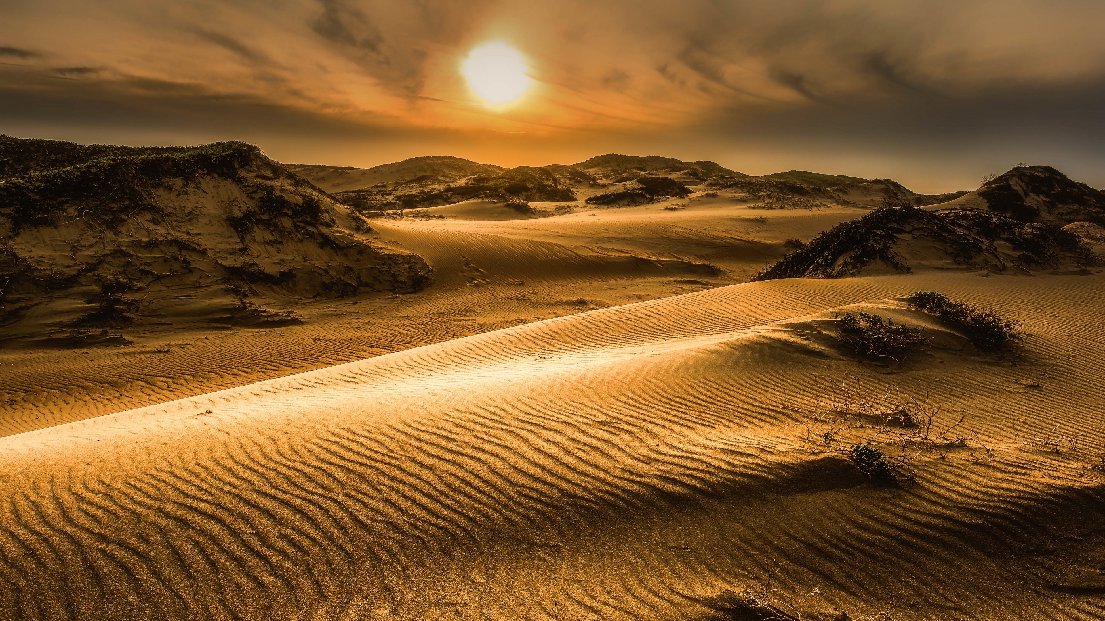 Detail Desert Wallpaper Hd Nomer 35