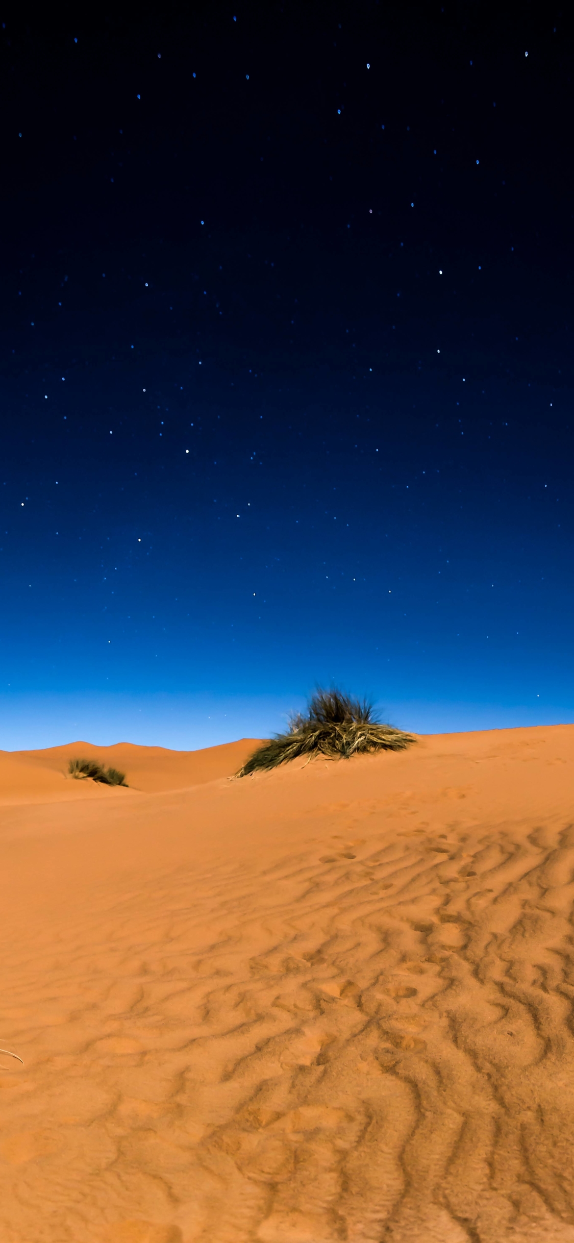 Detail Desert Wallpaper Hd Nomer 39