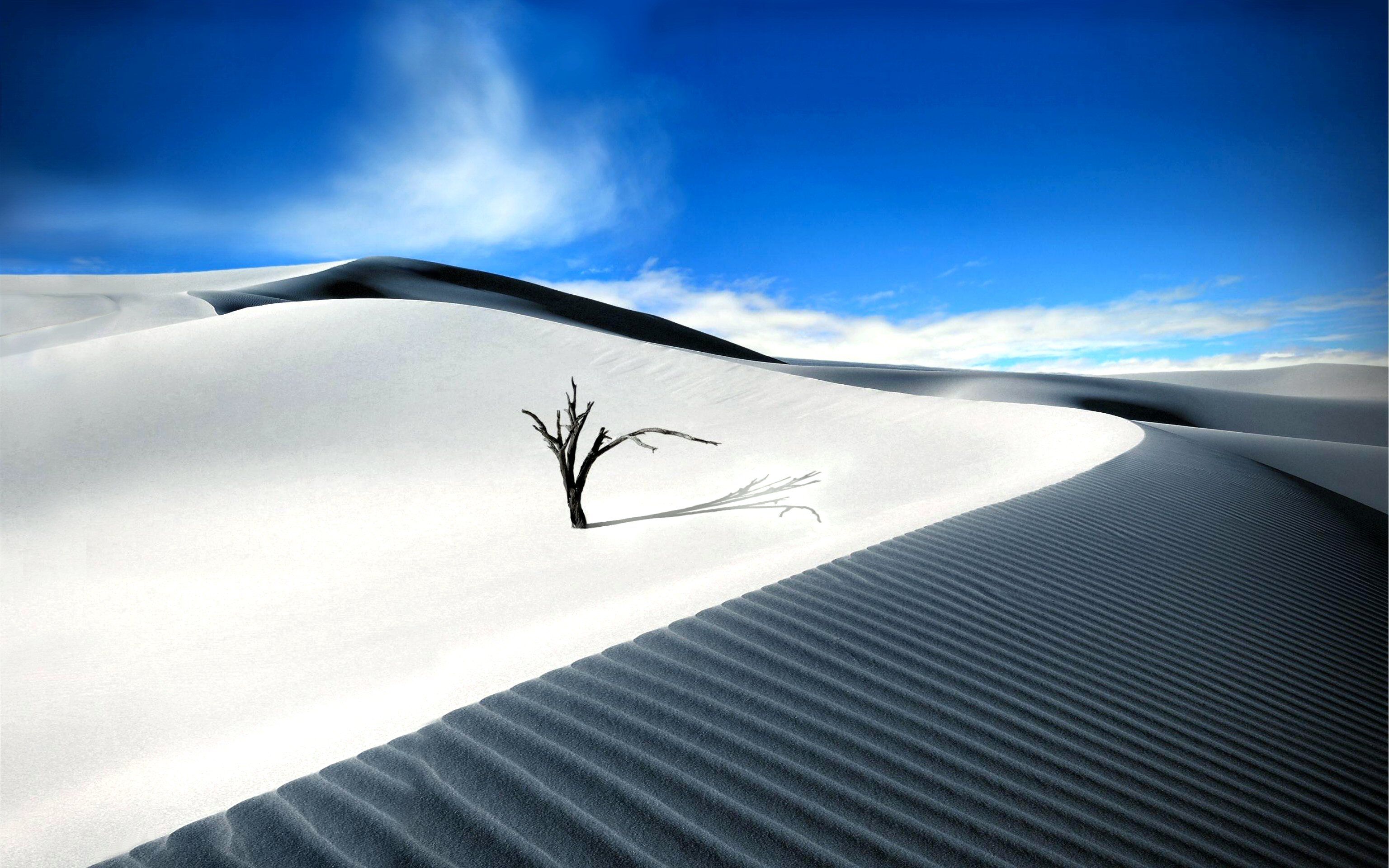 Detail Desert Wallpaper Hd Nomer 40