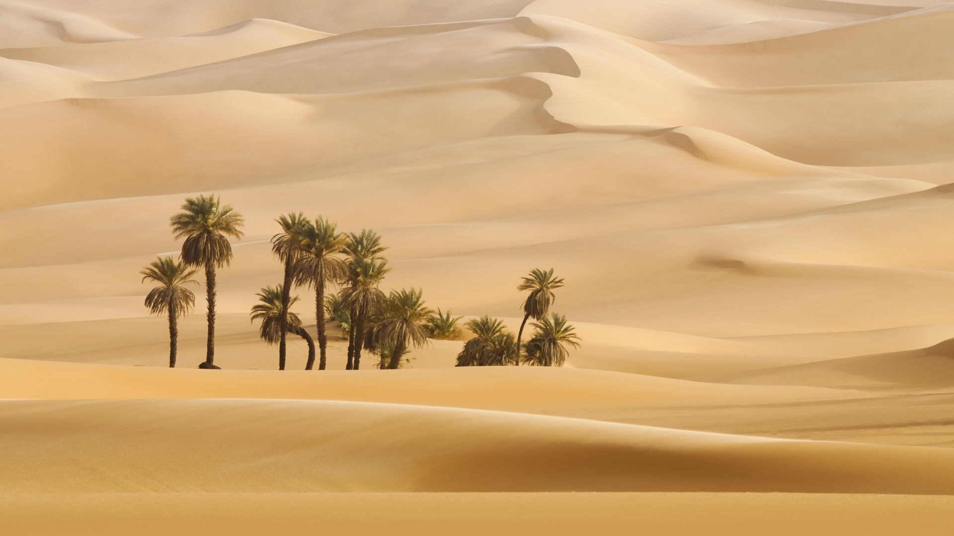 Detail Desert Wallpaper Hd Nomer 49