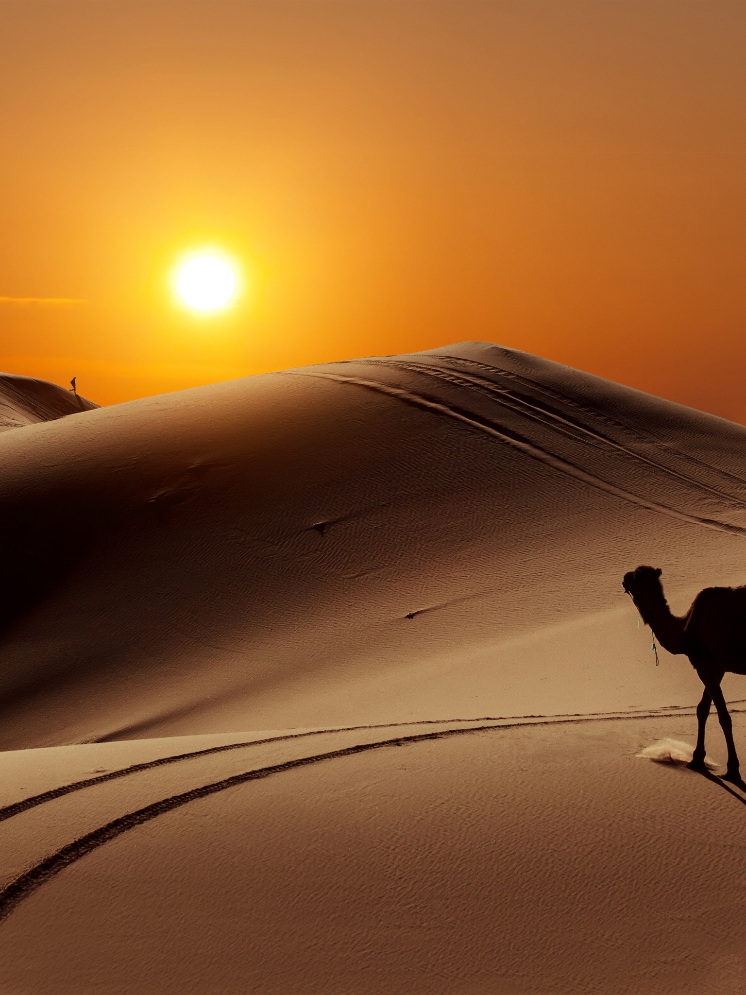 Detail Desert Wallpaper Hd Nomer 57