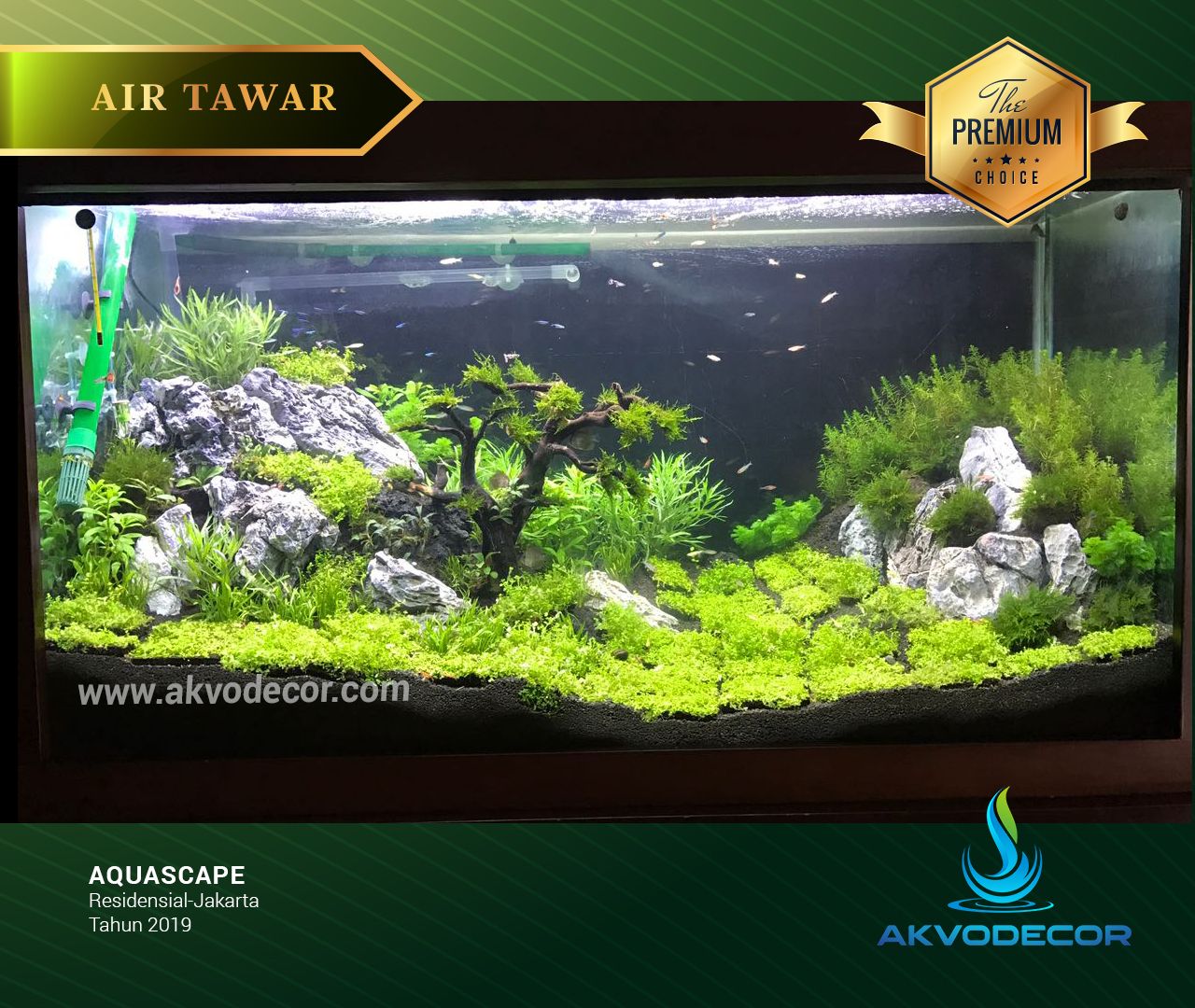 Design Aquarium Air Tawar - KibrisPDR