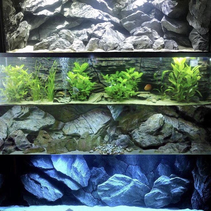 Detail Design Aquarium Air Tawar Nomer 24